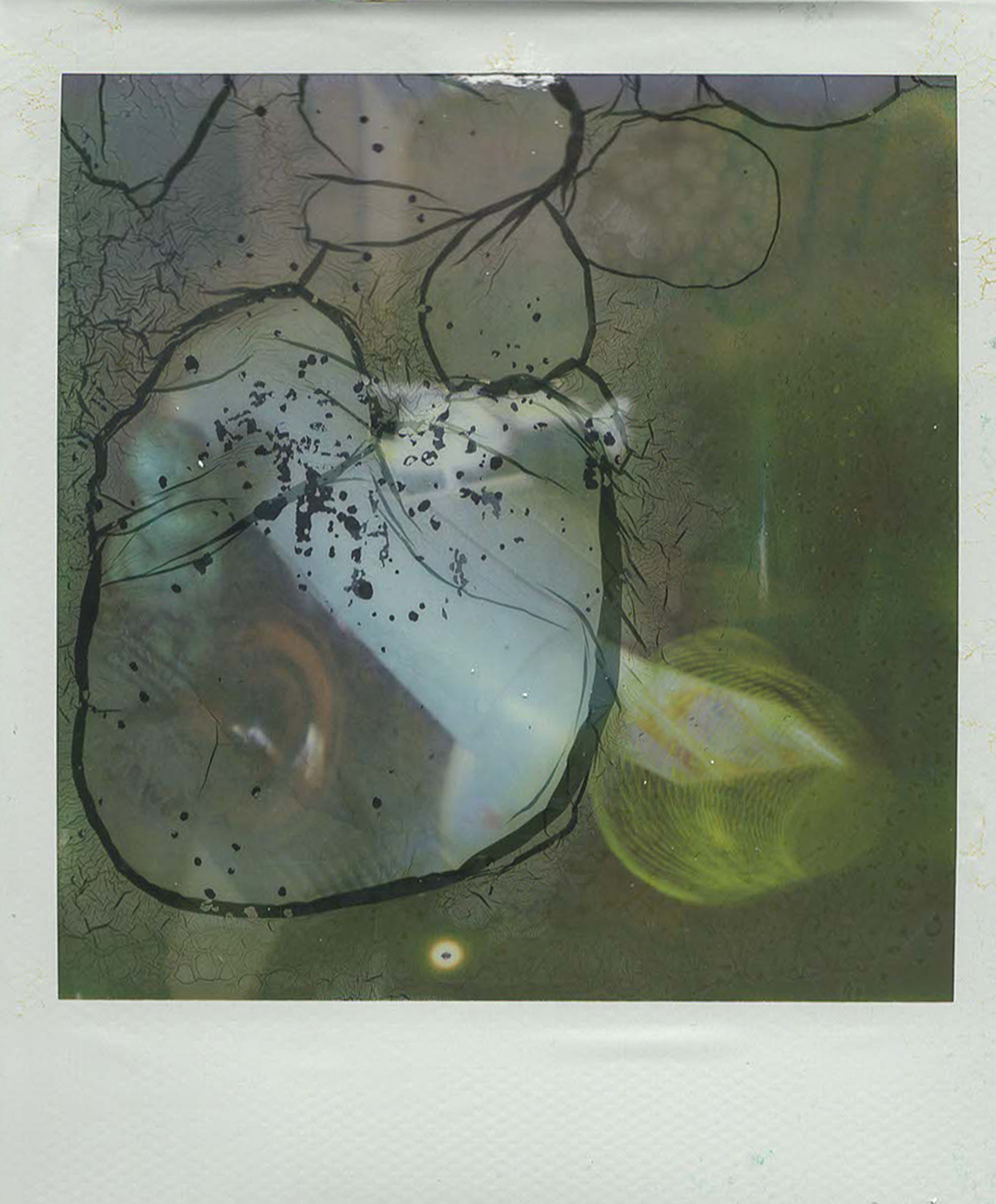 EPSON MFP image