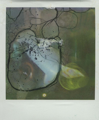 EPSON MFP image